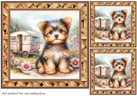6x6 Wicker Wood Frames 2 - x6 Frames PNG by Creative Crafts