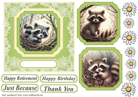 Cheeky Raccoons  by Creative Crafts