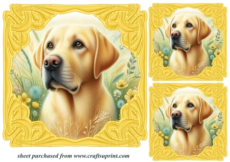 Sunflower Field Frames 6 by Creative Crafts