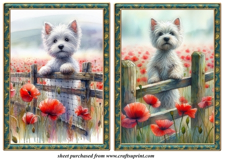 Royal Frames 3 by Creative Crafts