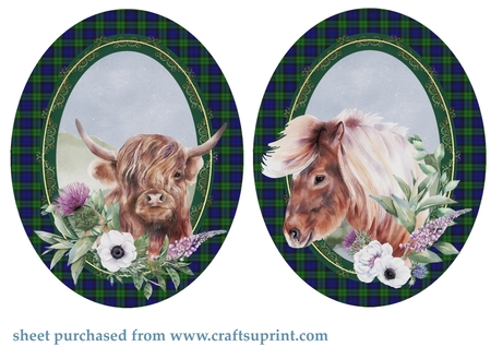Cu4cu Black Watch Tartan Frames by Creative Crafts