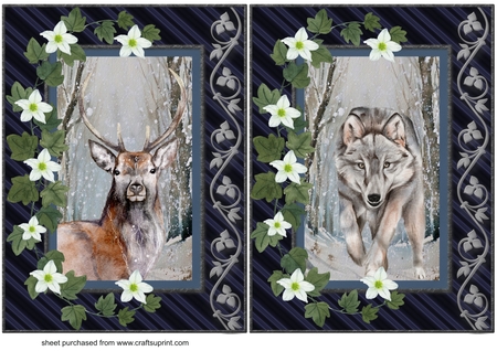 4 Floral Frames by Creative Crafts