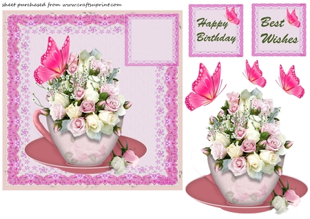 Lace Frames - Pink by Creative Crafts