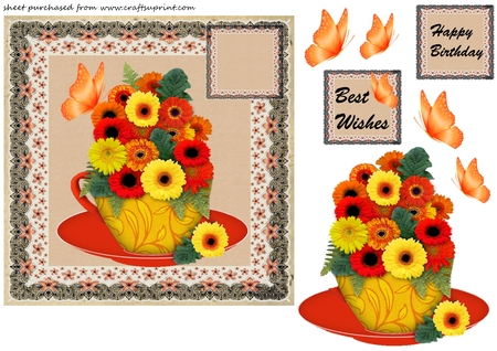 Lace Frames - Black/orange by Creative Crafts