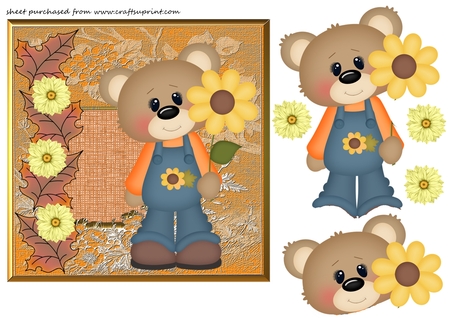 Set of 6 Autumn Tones Aperture Mats by Creative Crafts