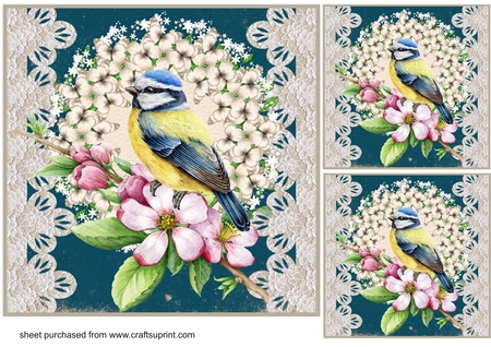 Denim and lace borders by Creative Crafts