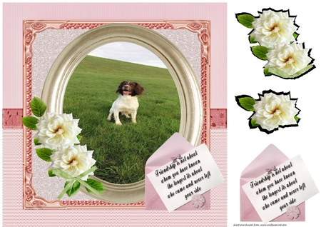Oval floral frames  by Creative Crafts