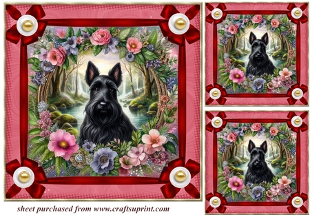 Pearl ribbon  frames  by Creative Crafts