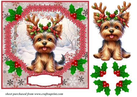Pretty flower frames by Creative Crafts