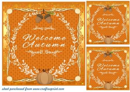 Lace border mats by Creative Crafts