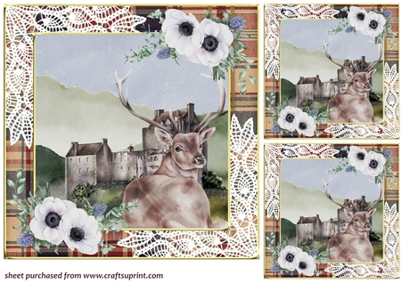 Tartan and Lace Gold Edged Frame by Creative Crafts
