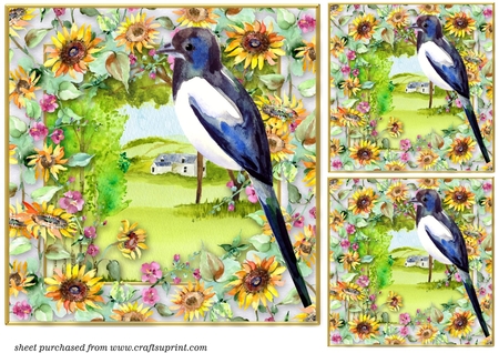 Floral frames by Creative Crafts