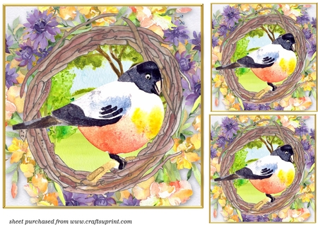 Floral frames by Creative Crafts