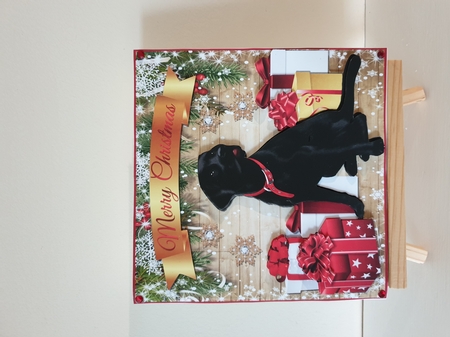 CHRISTMAS LABRADOR by Susan Coates