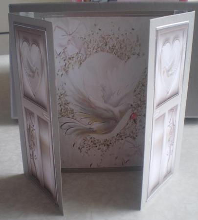 Dove in Flight,gatefold by Sue Cooper
