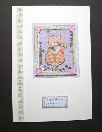 Our Ginger Tom by Sue Holt