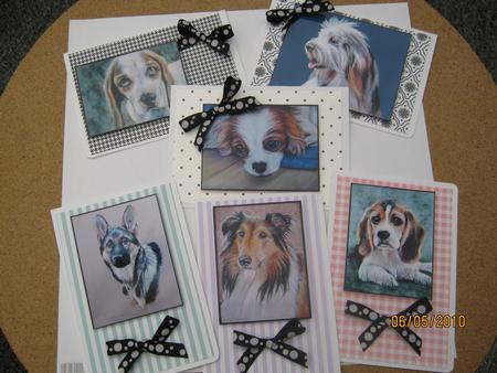 Top Dogs by Sue McAndrew