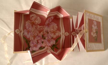 Exploding Card - Pink and Orange Irises by Sue Needham