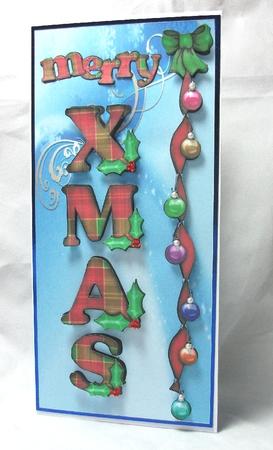 Tartan Xmas Dl Card by Sue Needham