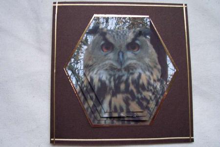 Owl Hexagon Pyramid by Sue Prior