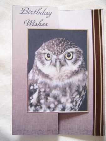 Little Owl Fold Back Sheet by Sue Prior