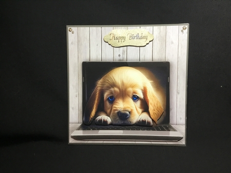 puppy by Sue Pyman
