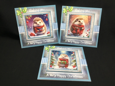 Prickleberry Christmas by Sue Pyman