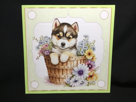3 Green floral pup in basket card front/toppers 15 by Sue Pyman