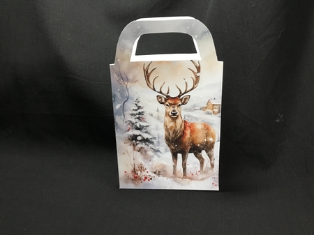 Christmas themed gift bag (N3) by Sue Pyman