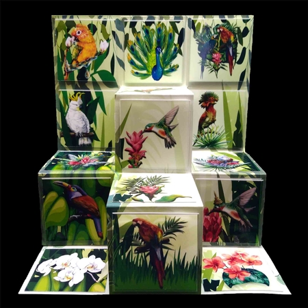 Botanical Flower Birds by Sue Rice