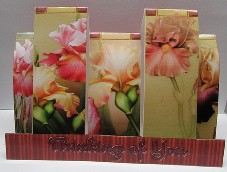Beautiful Bookmarks - Gorgeous Iris Blooms by Sue Rice