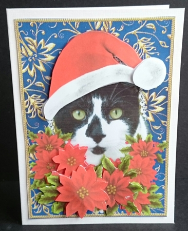 Santa Black and White Kitty Cat and Poinsettia Flowers 1 by Sue Soules
