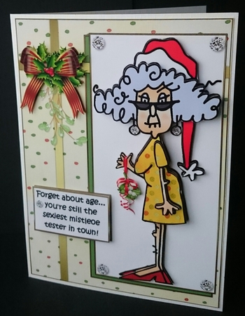 Stella Has a Christmas Birthday by Sue Soules