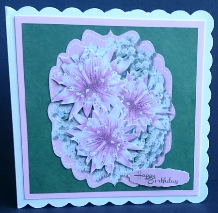 Beautiful Pink Star Flowers and Blossoms  by Sue Soules