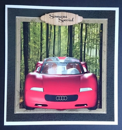 Stunning Audi Dream Machine by Sue Soules