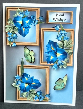 Beautiful Blue Iris Frame Trio by Sue Soules