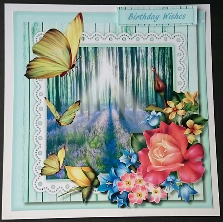 Through Bluebell Woods  by Sue Soules