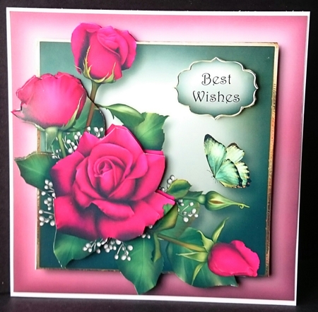 Claires Roses by Sue Soules