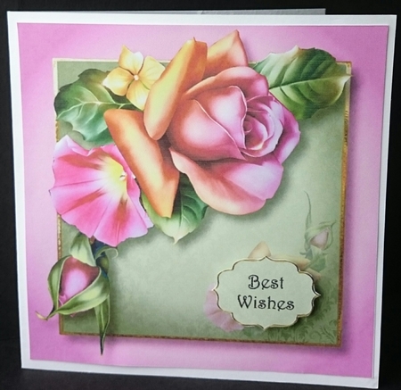 Gorgeous Blended Roses 8x8 by Sue Soules