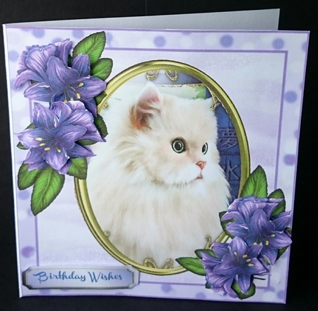 Beautiful Cat in a Gold Oval Frame  by Sue Soules