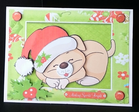 Cute Christmas Cat by Sue Soules