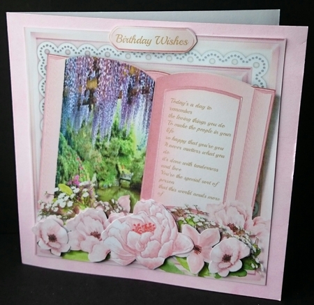 Beautiful Pink birthday Book with Verse  by Sue Soules