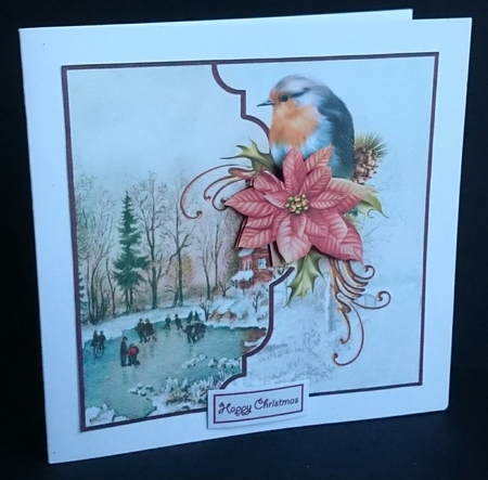 Robin and skaters 7x7 card with decoupage and sentiment tags by Sue Soules