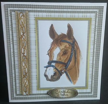 Beautiful Horse head with Entwined Rope  by Sue Soules