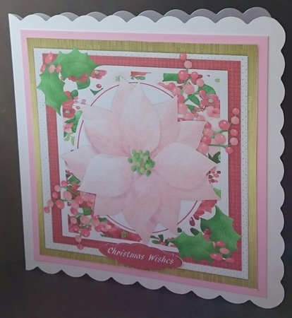 Lovely Pink Poinsettia and Holly  by Sue Soules