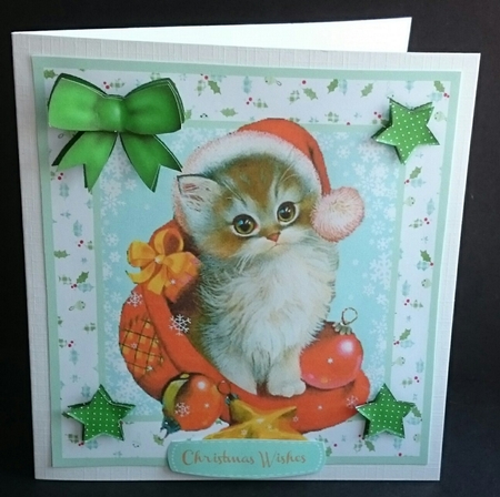 Beautiful Kitty in Her Christmas Hat  by Sue Soules