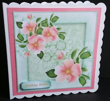 Beautiful Blossom in Sage Fframe  by Sue Soules