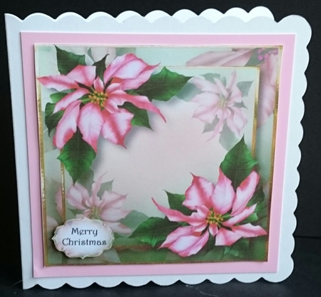 Pink Poinsettias For Christmas 8x8 by Sue Soules