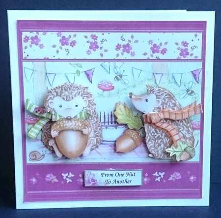 HEDGEHOGS BIRTHDAY PARTY 7.5 Decoupage & Insert Kit by Sue Soules