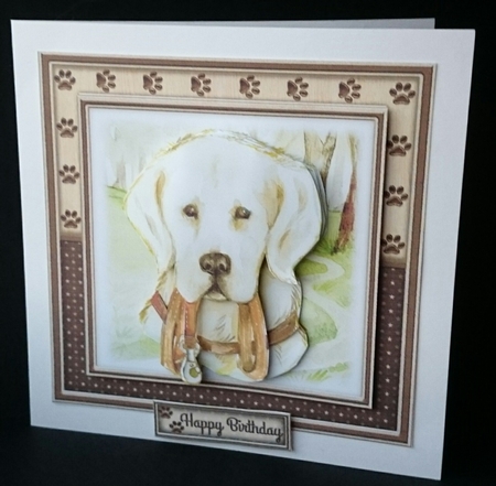 Faithful Friend by Sue Soules